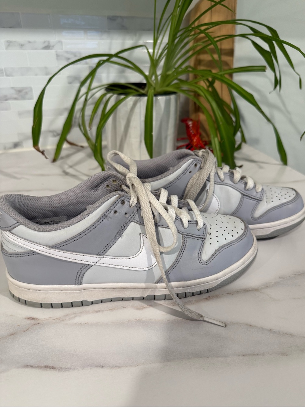 Nike dunks !!